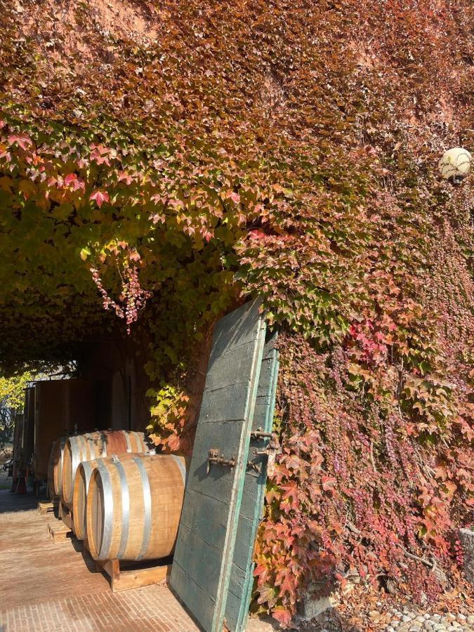 Tenuta Pizzone Wine Resort Rivanazzano Terme Exteriör bild